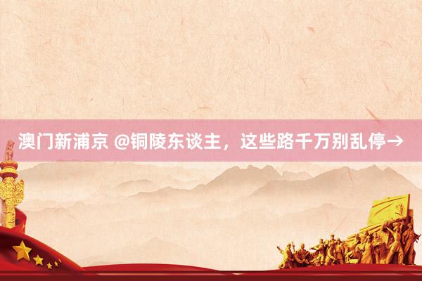 澳门新浦京 @铜陵东谈主，这些路千万别乱停→