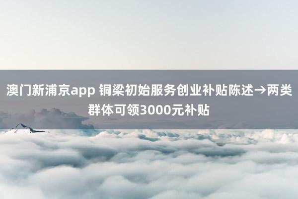 澳门新浦京app 铜梁初始服务创业补贴陈述→两类群体可领3000元补贴