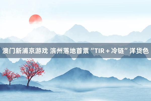 澳门新浦京游戏 滨州落地首票“TIR＋冷链”洋货色