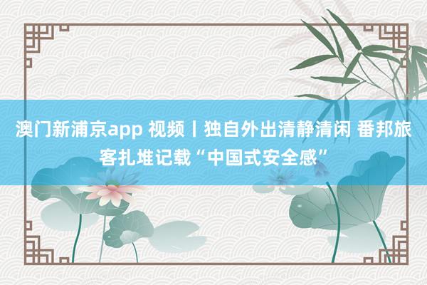 澳门新浦京app 视频丨独自外出清静清闲 番邦旅客扎堆记载“中国式安全感”