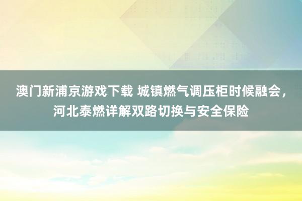 澳门新浦京游戏下载 城镇燃气调压柜时候融会，河北泰燃详解双路切换与安全保险