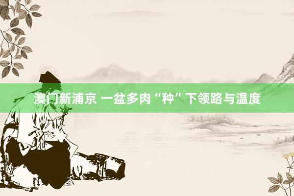 澳门新浦京 一盆多肉“种”下领路与温度