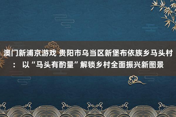 澳门新浦京游戏 贵阳市乌当区新堡布依族乡马头村： 以“马头有酌量”解锁乡村全面振兴新图景