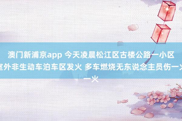 澳门新浦京app 今天凌晨松江区古楼公路一小区室外非生动车泊车区发火 多车燃烧无东说念主员伤一火