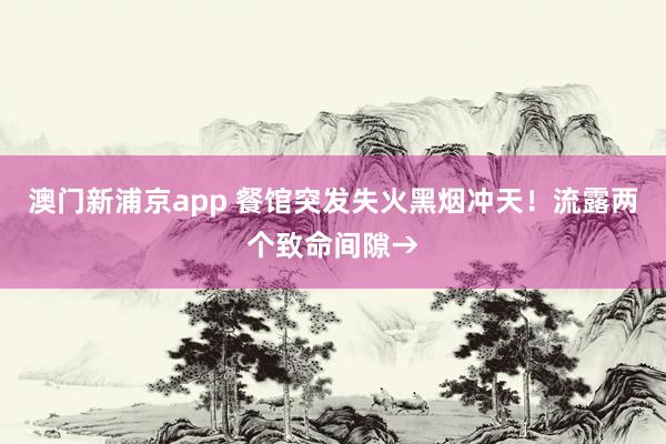 澳门新浦京app 餐馆突发失火黑烟冲天！流露两个致命间隙→