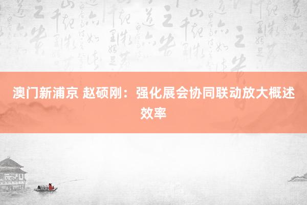 澳门新浦京 赵硕刚：强化展会协同联动放大概述效率