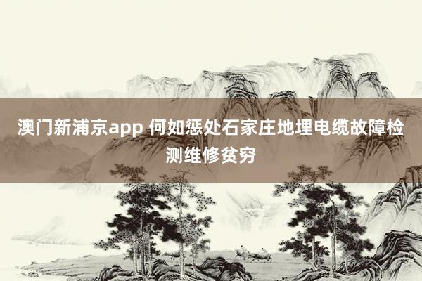 澳门新浦京app 何如惩处石家庄地埋电缆故障检测维修贫穷