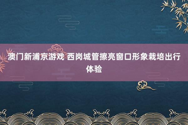 澳门新浦京游戏 西岗城管擦亮窗口形象栽培出行体验