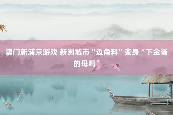 澳门新浦京游戏 新洲城市“边角料”变身“下金蛋的母鸡”