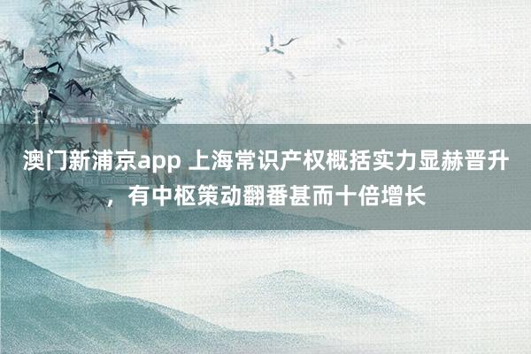 澳门新浦京app 上海常识产权概括实力显赫晋升，有中枢策动翻番甚而十倍增长