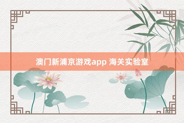 澳门新浦京游戏app 海关实验室