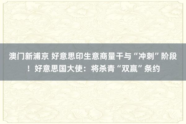 澳门新浦京 好意思印生意商量干与“冲刺”阶段！好意思国大使：将杀青“双赢”条约