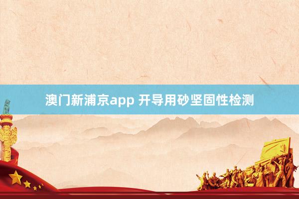 澳门新浦京app 开导用砂坚固性检测