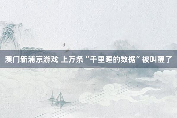 澳门新浦京游戏 上万条“千里睡的数据”被叫醒了