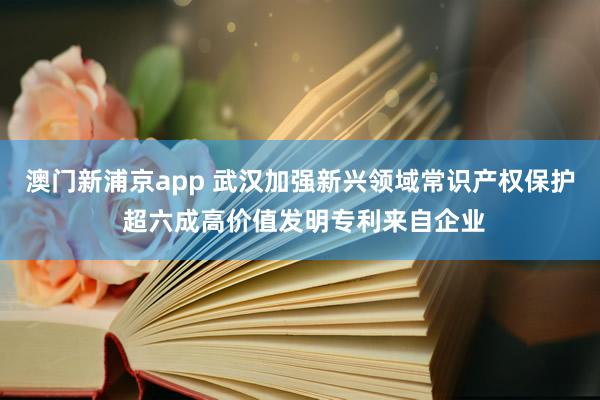 澳门新浦京app 武汉加强新兴领域常识产权保护 超六成高价值发明专利来自企业