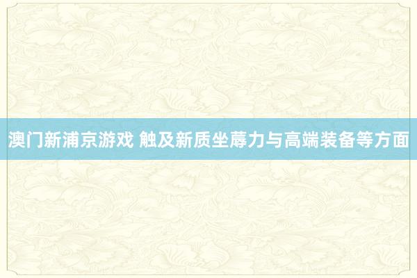澳门新浦京游戏 触及新质坐蓐力与高端装备等方面