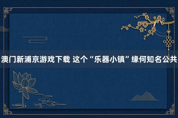 澳门新浦京游戏下载 这个“乐器小镇”缘何知名公共