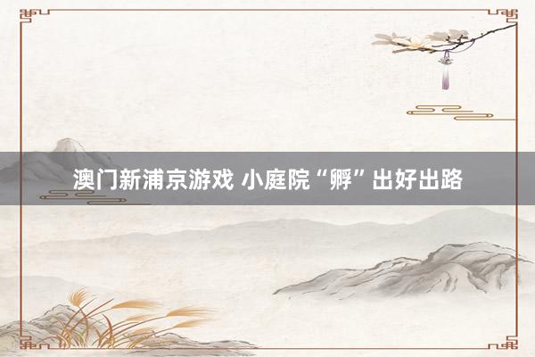 澳门新浦京游戏 小庭院“孵”出好出路