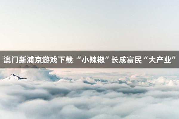 澳门新浦京游戏下载 “小辣椒”长成富民“大产业”