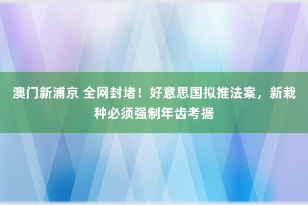 澳门新浦京 全网封堵！好意思国拟推法案，新栽种必须强制年齿考据