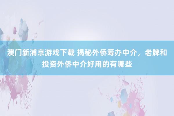 澳门新浦京游戏下载 揭秘外侨筹办中介，老牌和投资外侨中介好用的有哪些