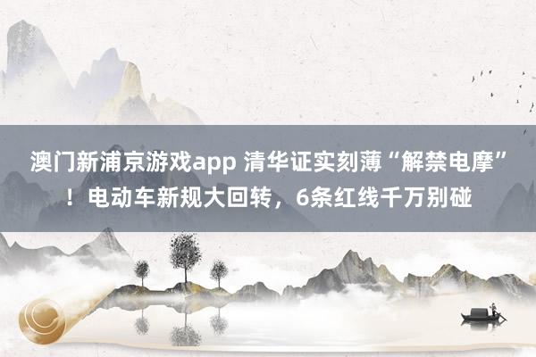澳门新浦京游戏app 清华证实刻薄“解禁电摩”！电动车新规大回转，6条红线千万别碰