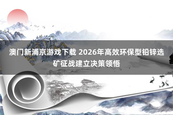 澳门新浦京游戏下载 2026年高效环保型铅锌选矿征战建立决策领悟