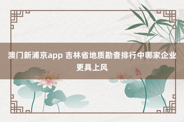 澳门新浦京app 吉林省地质勘查排行中哪家企业更具上风