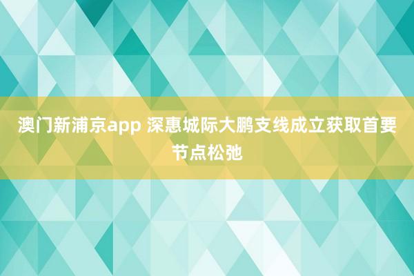 澳门新浦京app 深惠城际大鹏支线成立获取首要节点松弛