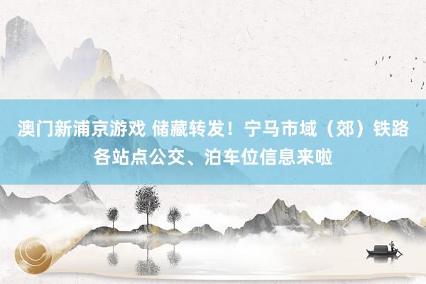 澳门新浦京游戏 储藏转发！宁马市域（郊）铁路各站点公交、泊车位信息来啦