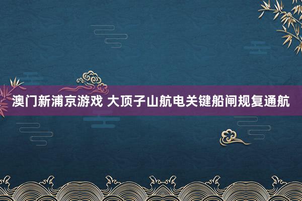 澳门新浦京游戏 大顶子山航电关键船闸规复通航