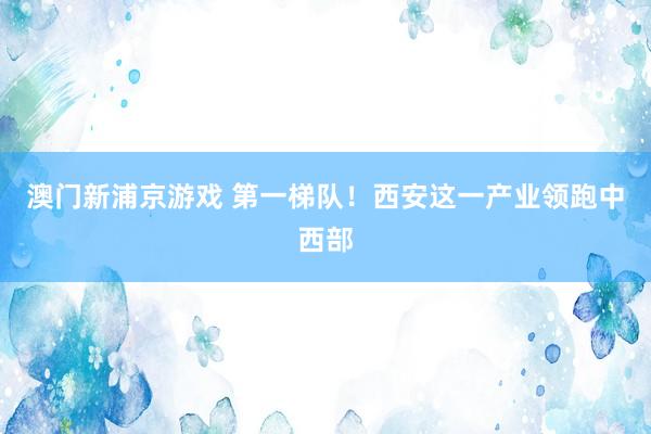 澳门新浦京游戏 第一梯队！西安这一产业领跑中西部