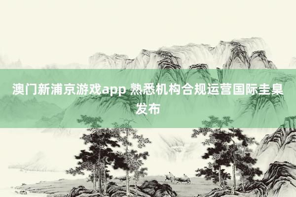 澳门新浦京游戏app 熟悉机构合规运营国际圭臬发布