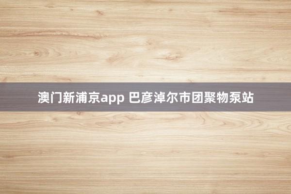 澳门新浦京app 巴彦淖尔市团聚物泵站