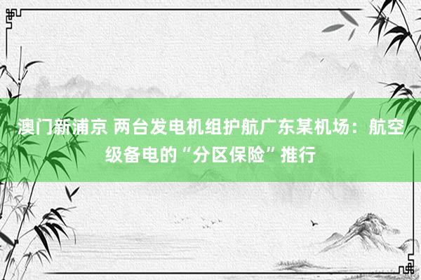 澳门新浦京 两台发电机组护航广东某机场：航空级备电的“分区保险”推行