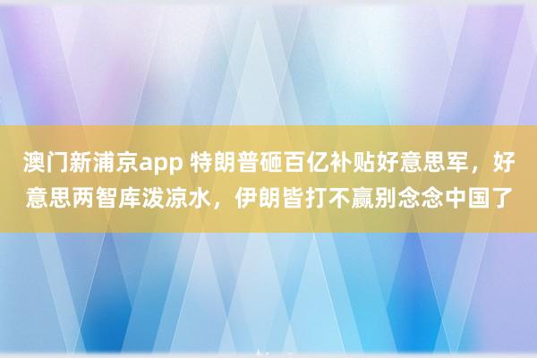 澳门新浦京app 特朗普砸百亿补贴好意思军，好意思两智库泼凉水，伊朗皆打不赢别念念中国了