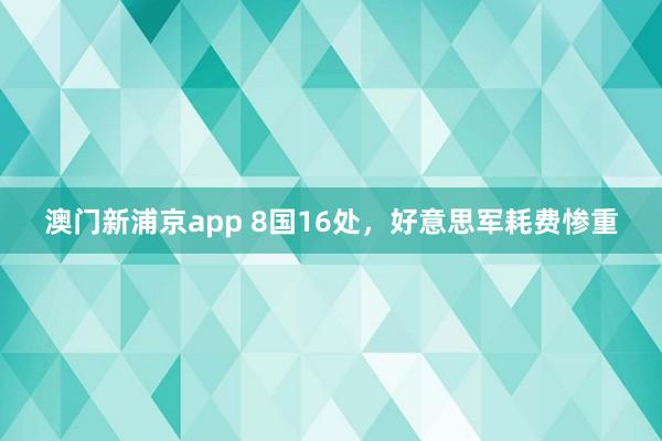 澳门新浦京app 8国16处，好意思军耗费惨重