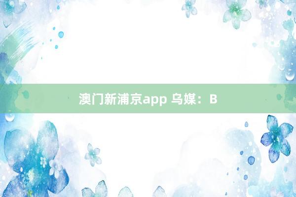 澳门新浦京app 乌媒：B