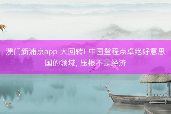 澳门新浦京app 大回转! 中国登程点卓绝好意思国的领域， 压根不是经济