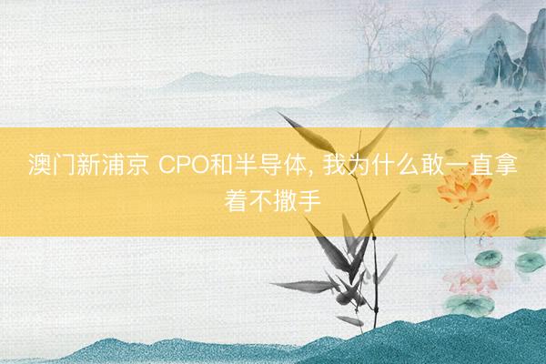 澳门新浦京 CPO和半导体， 我为什么敢一直拿着不撒手