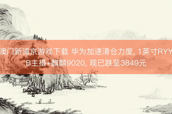 澳门新浦京游戏下载 华为加速清仓力度， 1英寸RYYB主摄+麒麟9020， 现已跌至3849元