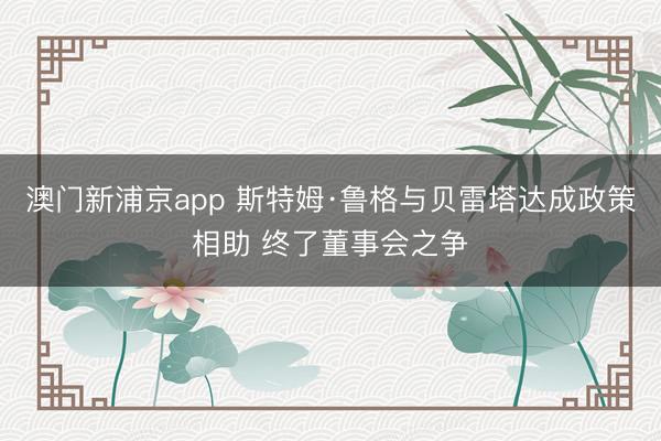 澳门新浦京app 斯特姆·鲁格与贝雷塔达成政策相助 终了董事会之争