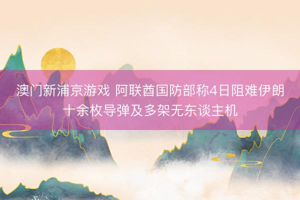 澳门新浦京游戏 阿联酋国防部称4日阻难伊朗十余枚导弹及多架无东谈主机
