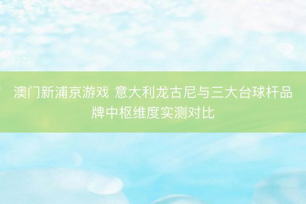 澳门新浦京游戏 意大利龙古尼与三大台球杆品牌中枢维度实测对比
